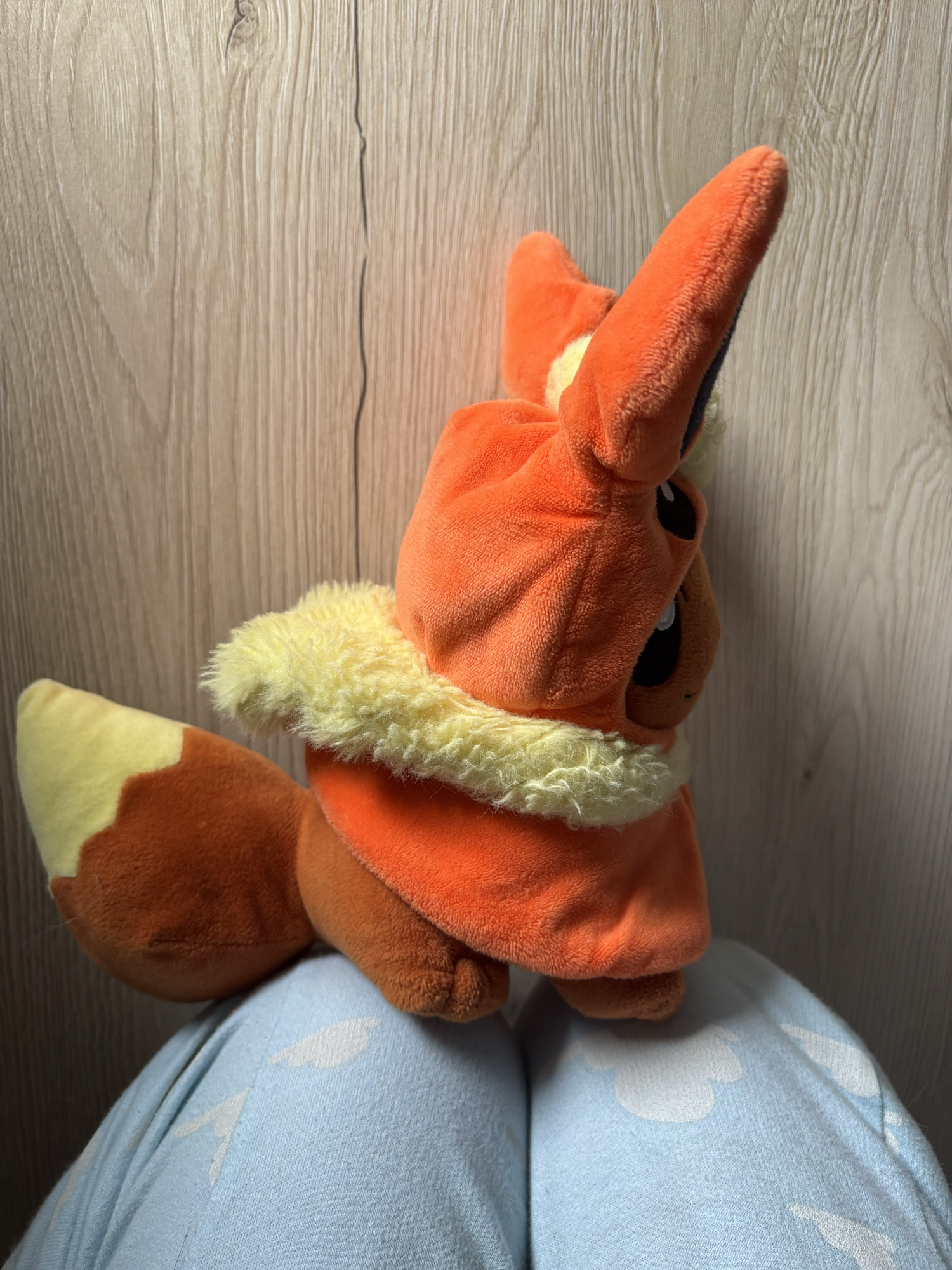 Evoli en Pyroli  - Photo 3