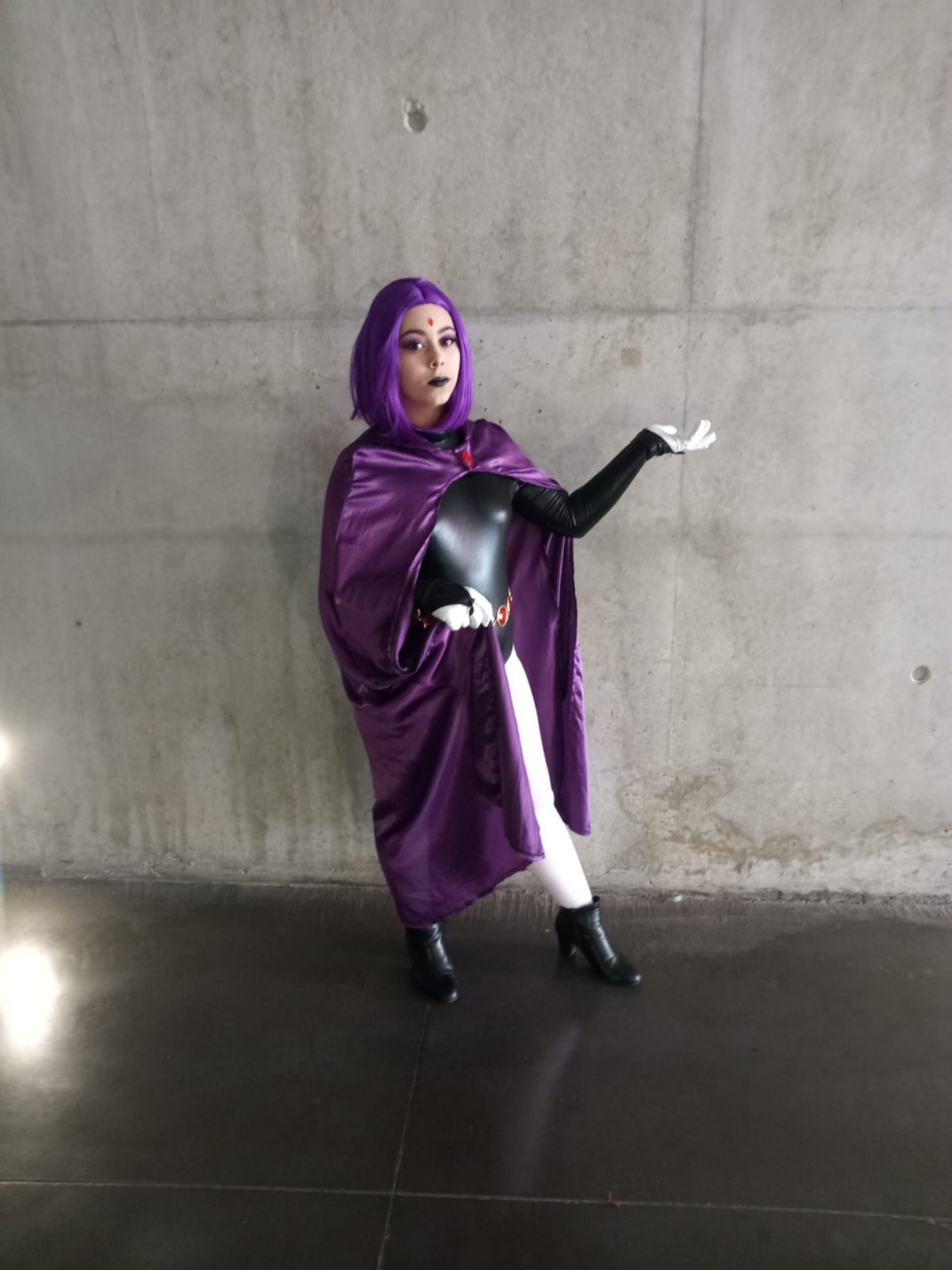 Raven — photo 12