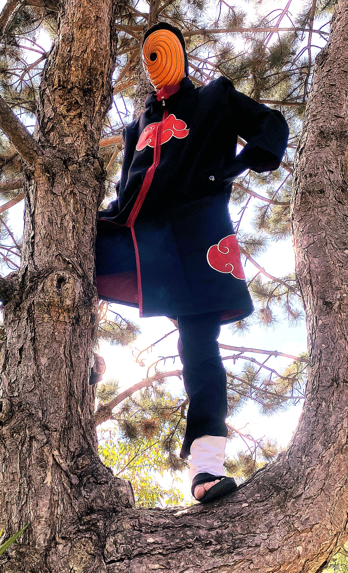 Tobi — photo 87