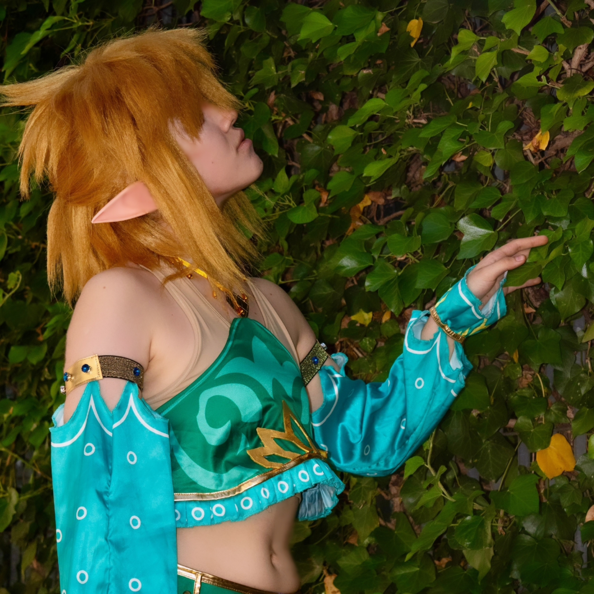 Link gerudo — photo 8