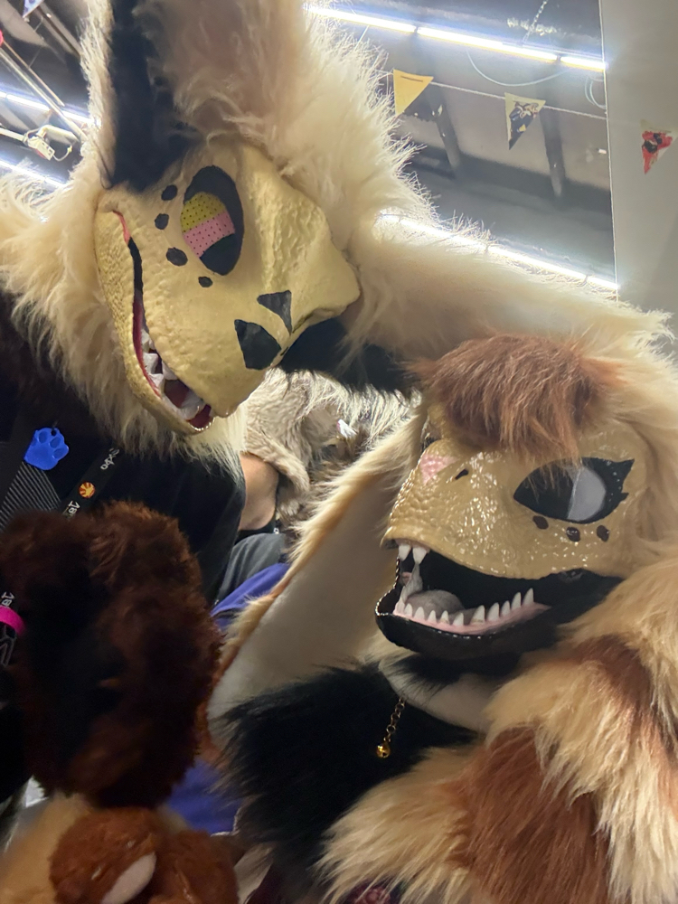 Photos Tapioca - Photo 15