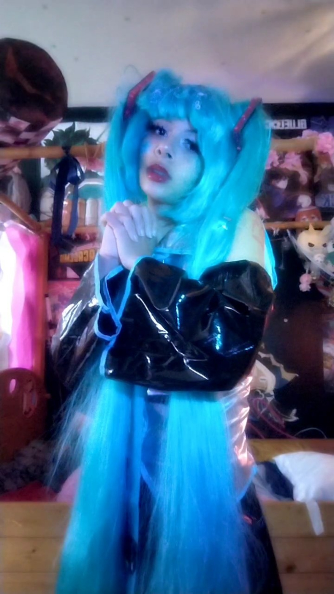 Miku — photo 27