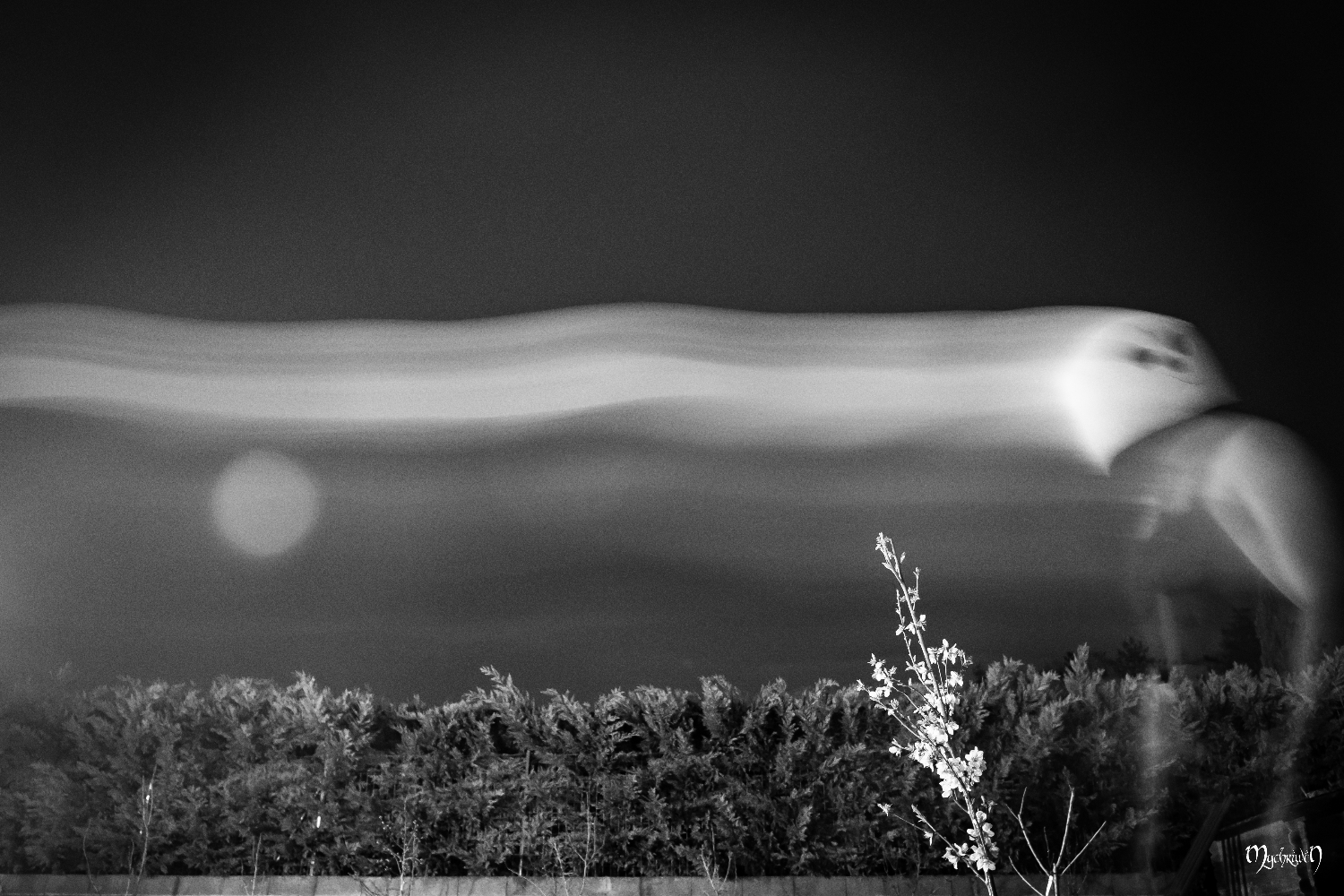 Pandaman test flou - Photo 4