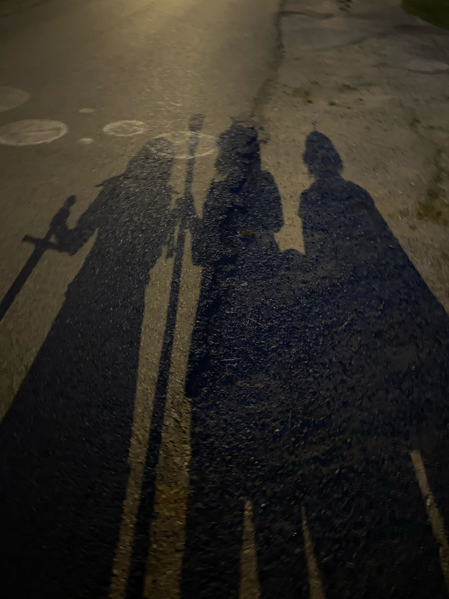 High Elf King SP - Photo 3