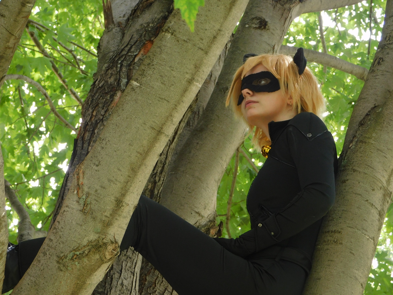 Chat Noir - Photo 25