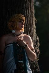 Zelda preview 3