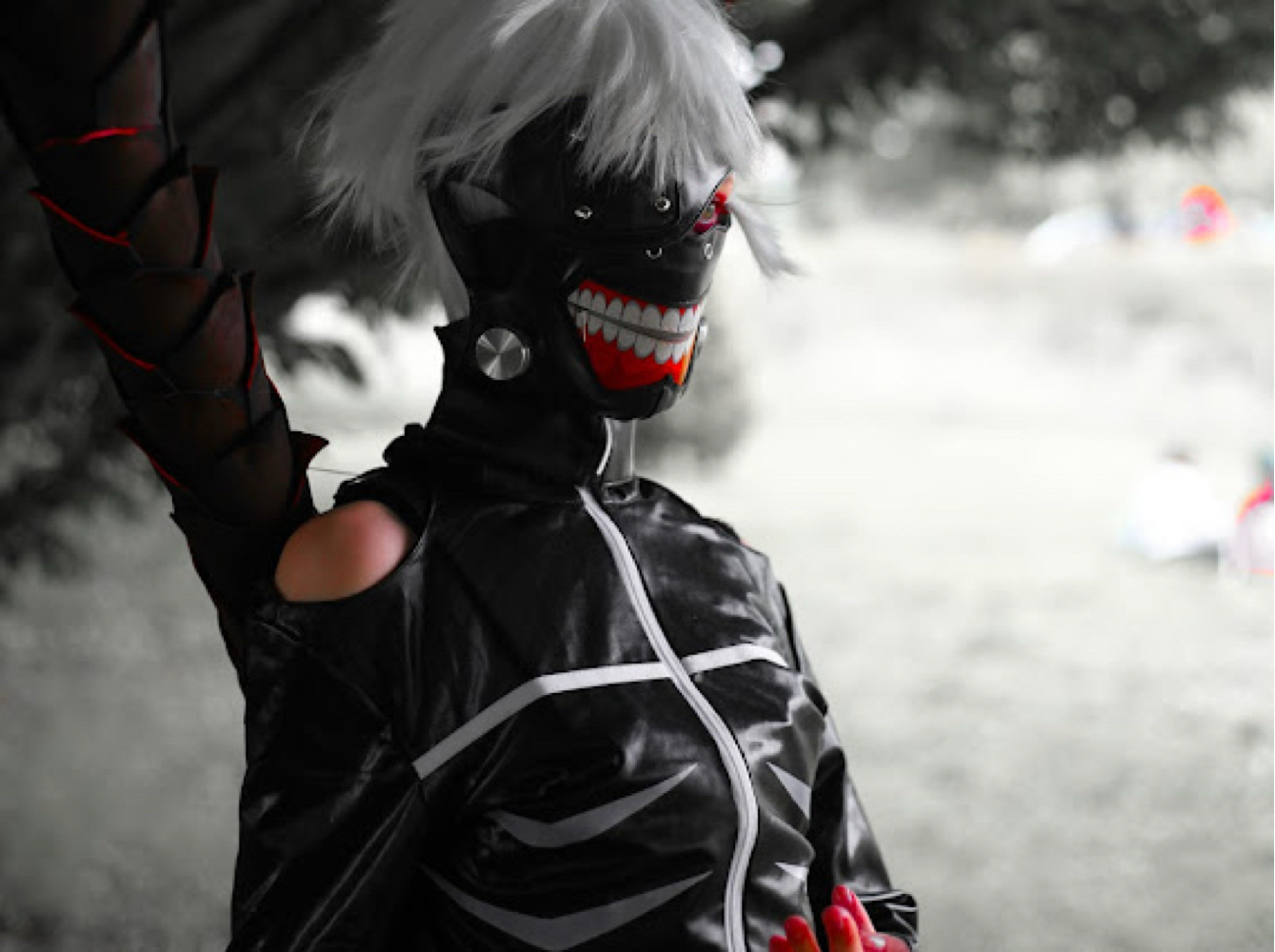 Kultur Manga Dreux — photo 5
