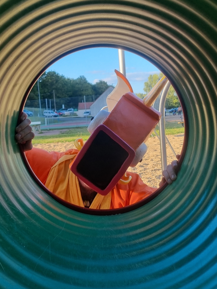 MoinegicarpeFlippant - Photo 12