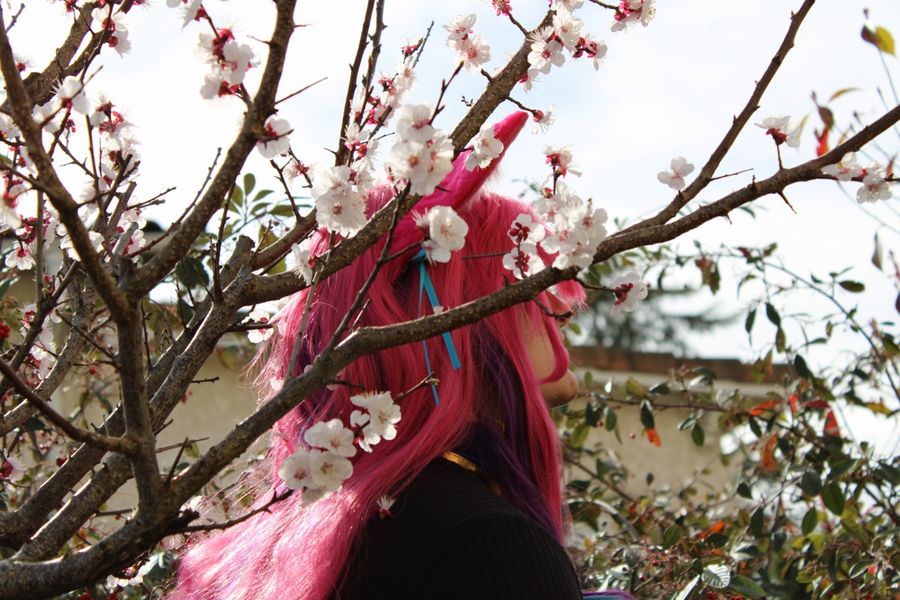 Angeee - Ahri spirit blossom