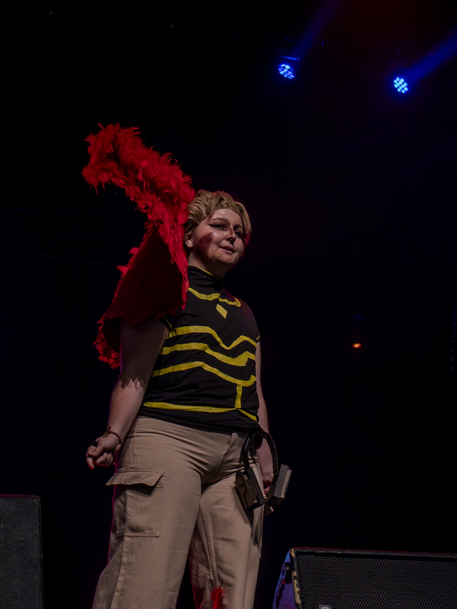 Hawks — photo 8