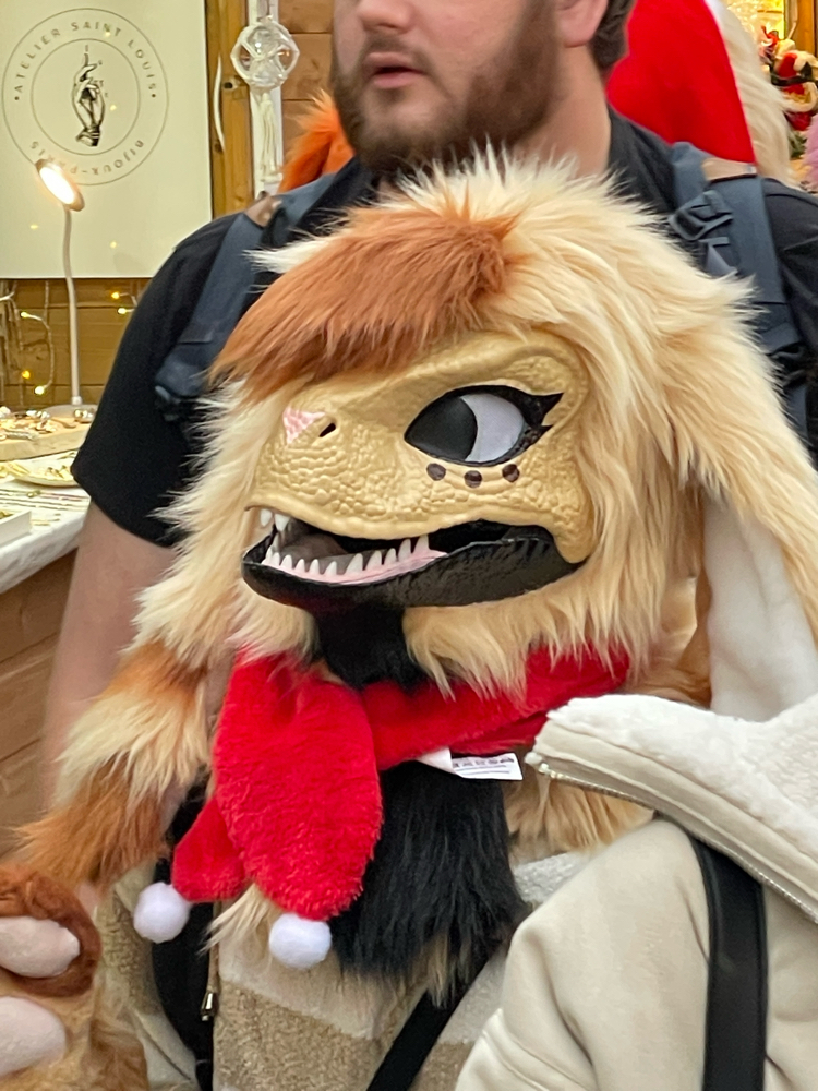 Photos Tapioca - Photo 26