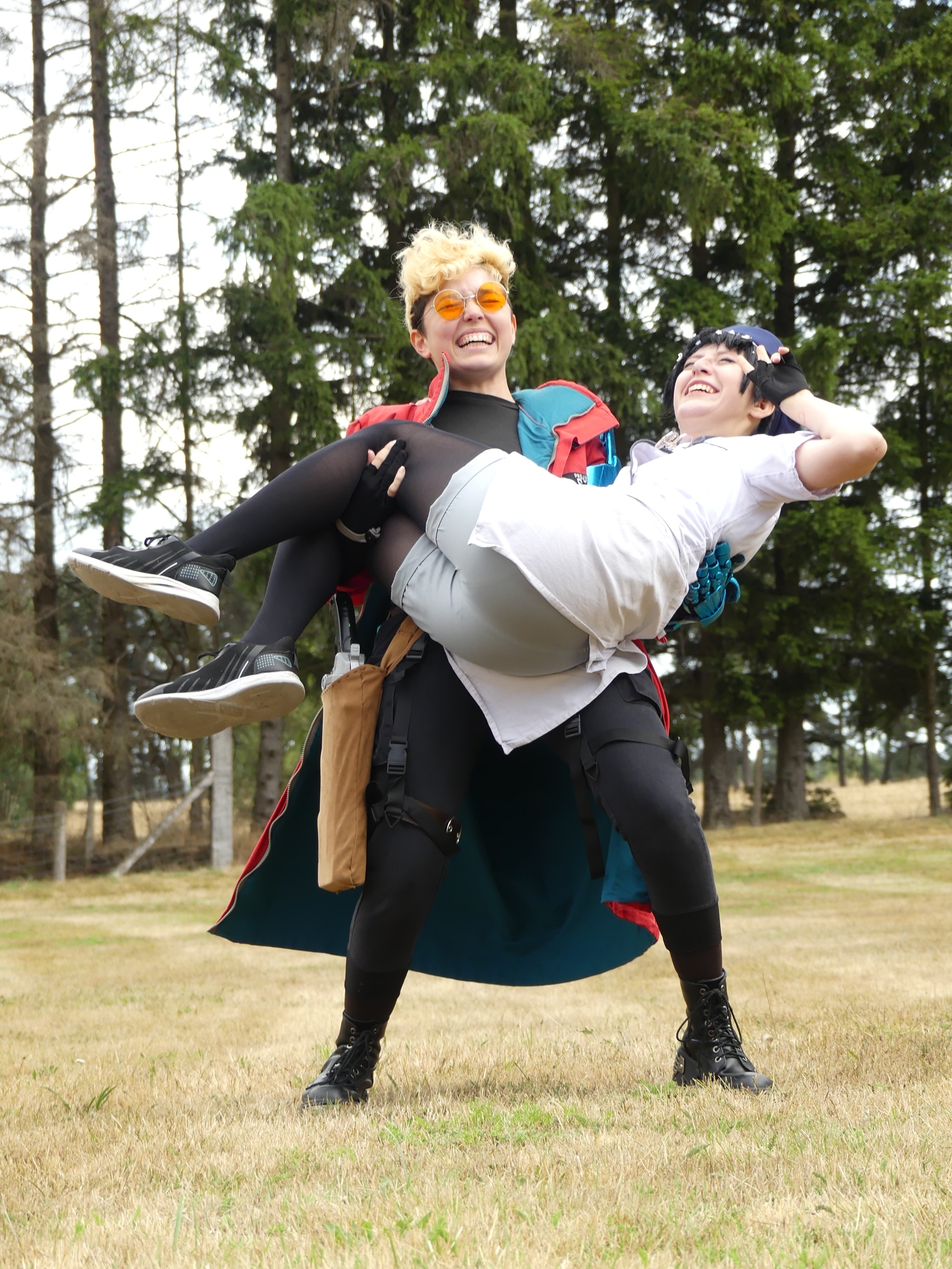 Gevaudan pop culture - Photo 22