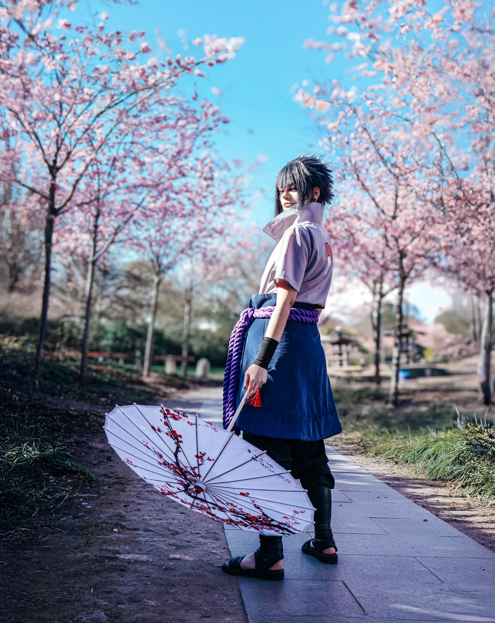 Spring — photo 11