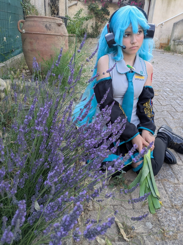 Hatsune Miku 6/25 - Photo 7