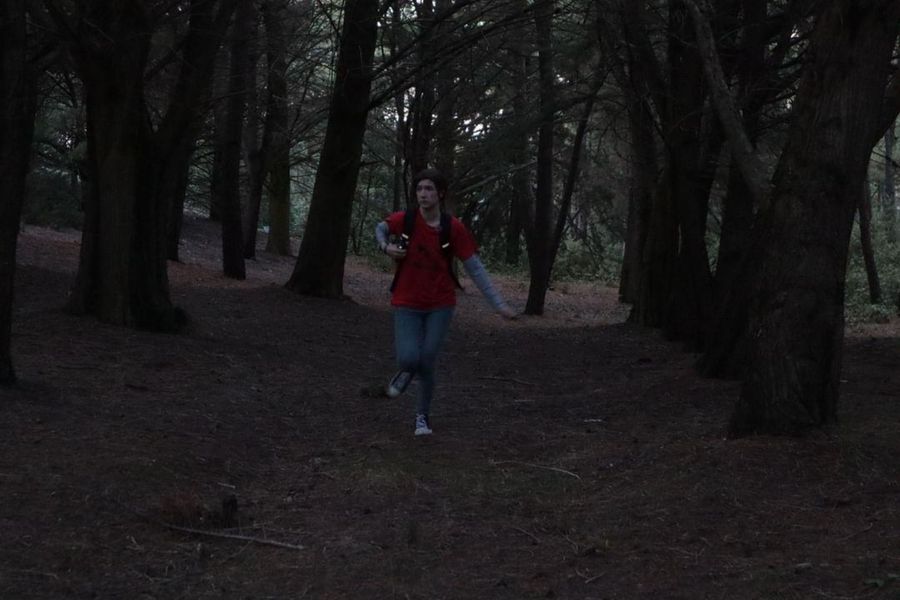 _s1lent_ech0splay - Ellie TLOU forest