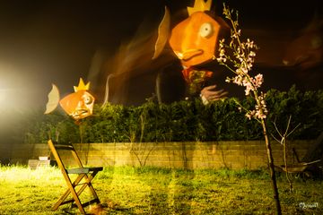 Lordgicarpe de nuit preview 2