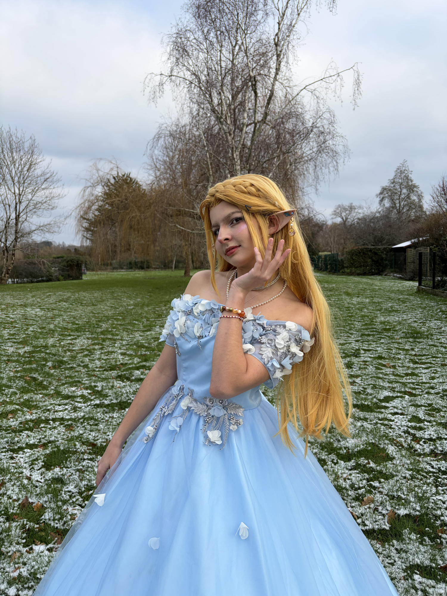 Zelda snow — photo 6