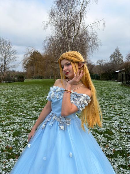 Tortue - Zelda snow 