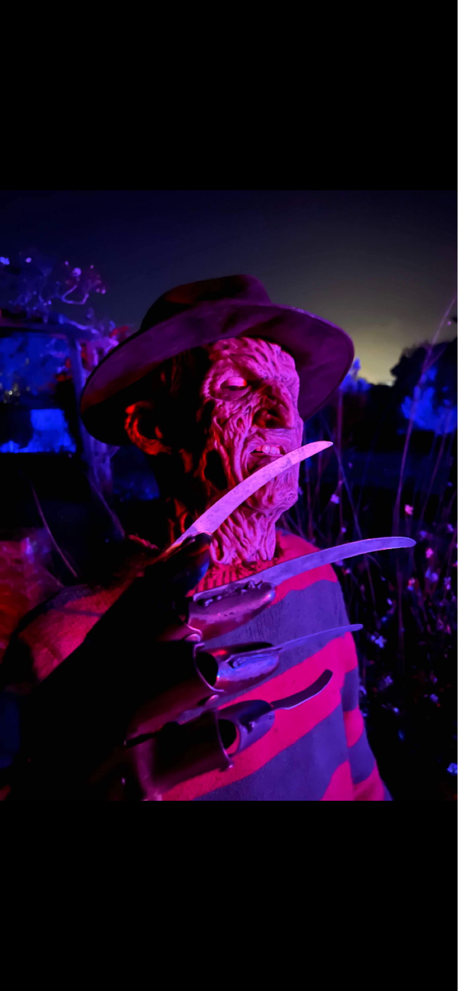 freddy krueger, photo 27