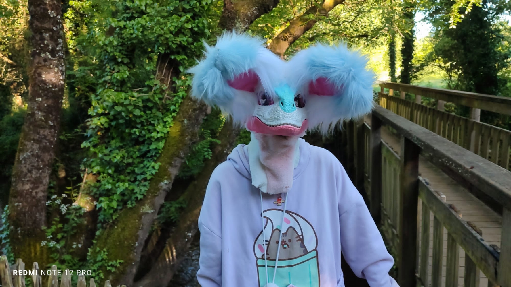 Debut du printemps  - Photo 41