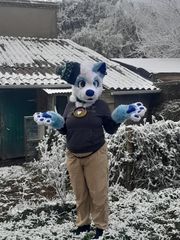 Neige preview 3