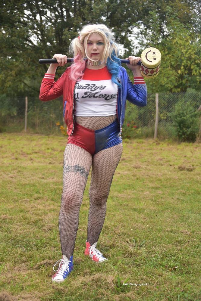 Harley quinn — photo 40