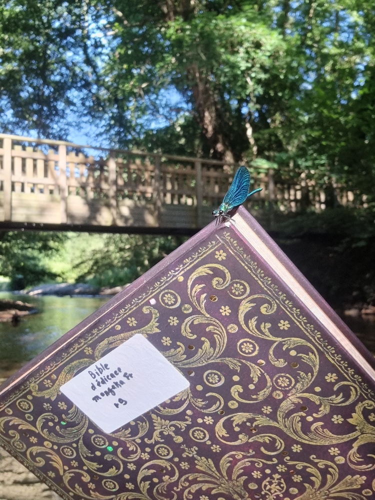 Jésus Carpe rivière - Photo 7