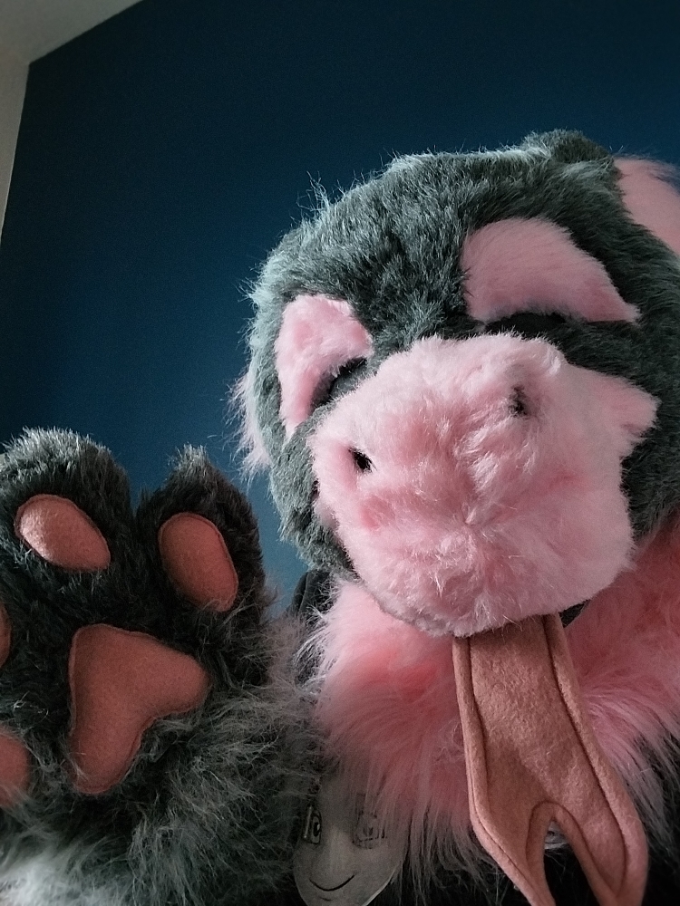 Chaloupinge  - Photo 4