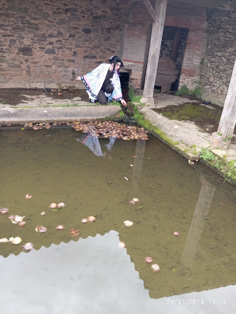 Shinobu KOCHO - Photo 15