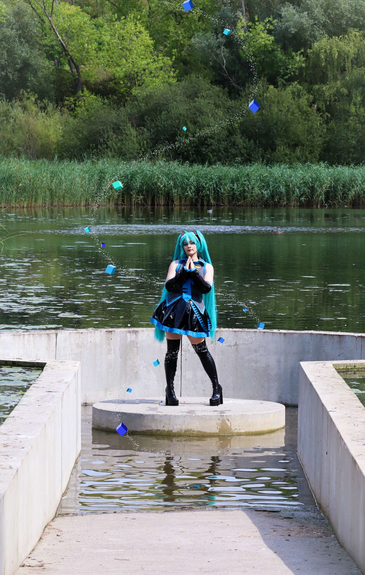 Miku — photo 18