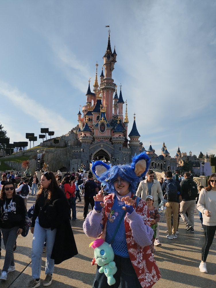 Stitch  Disneyland P - Photo 11