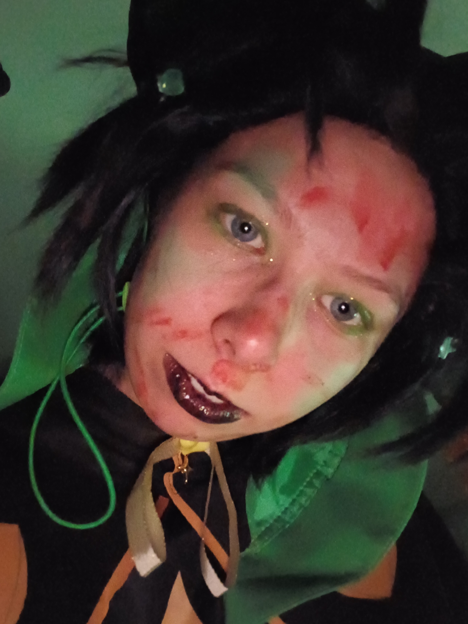 Harlequin, photo 15