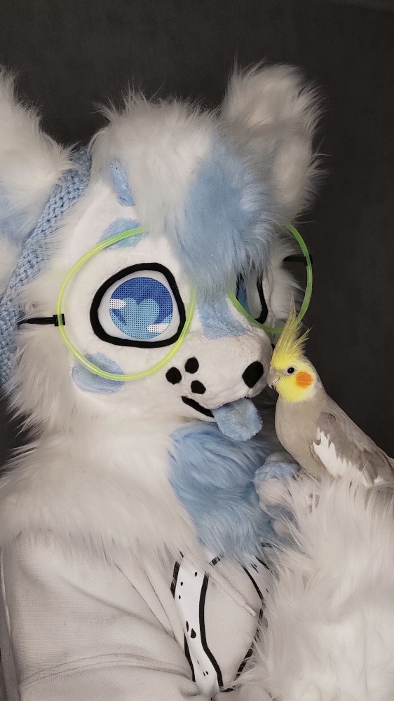 Kaito — photo 8