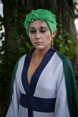 Zoro 💚 preview 3