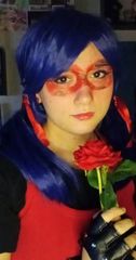 Ladybug preview 2