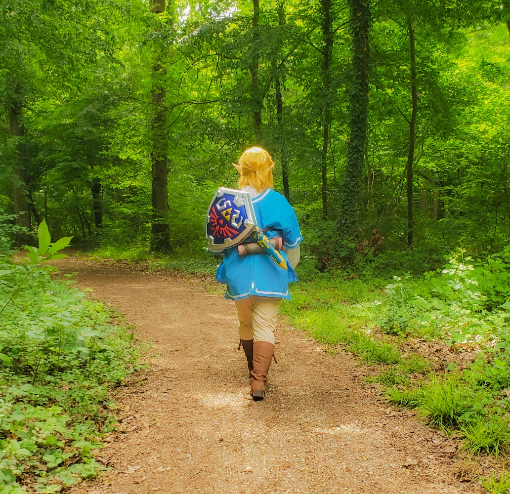 Link — photo 6