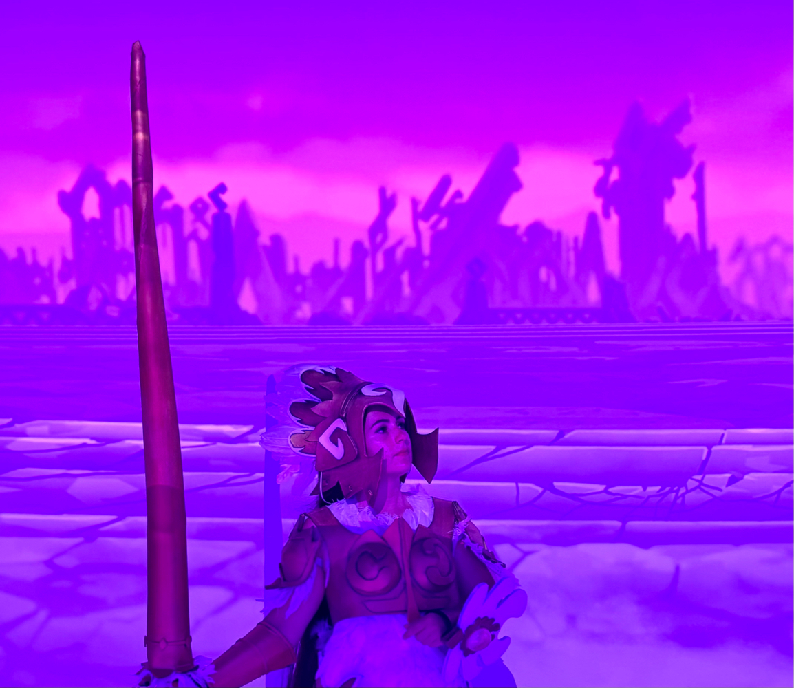 Ankama Convention - Photo 13