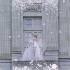 Princess Serenity preview 2