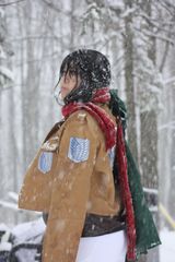 Mikassa preview 2