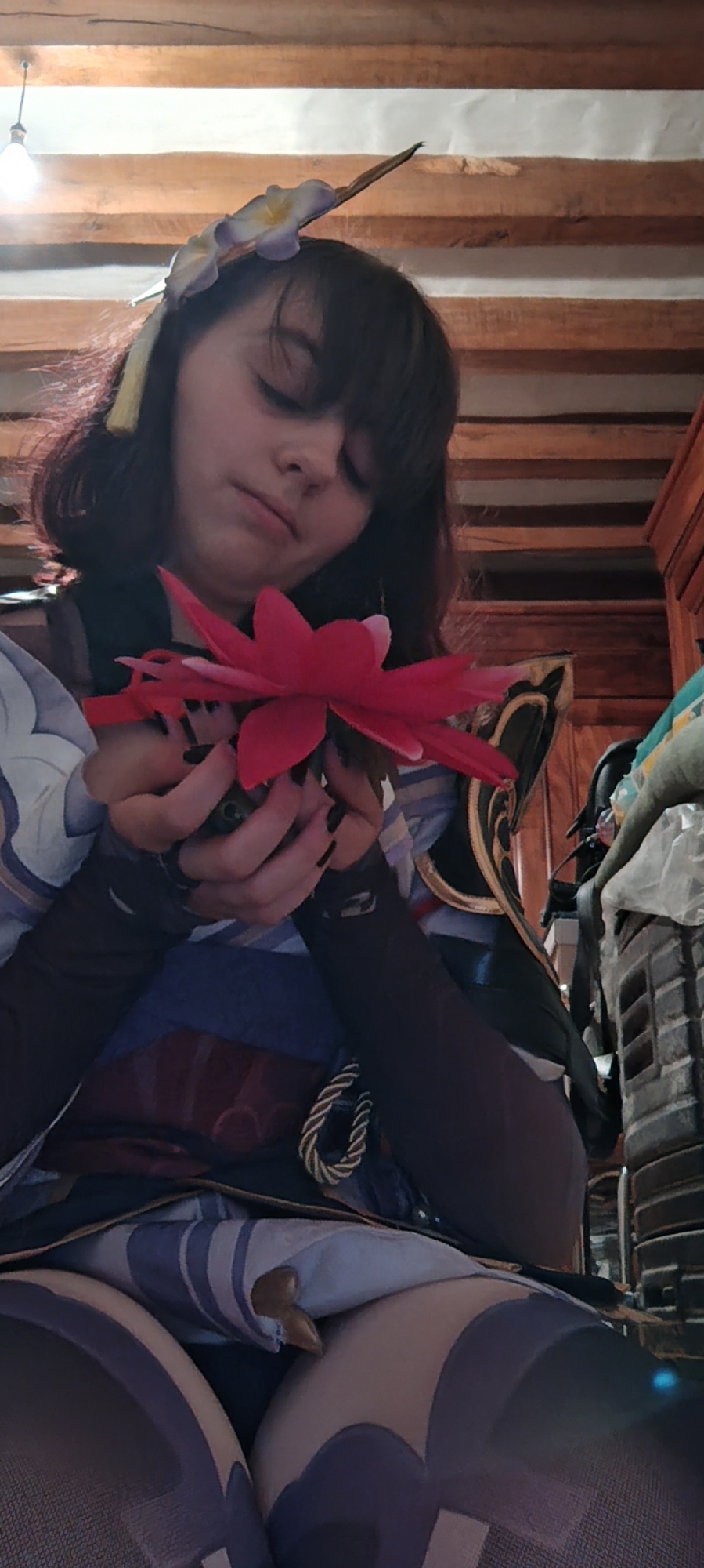 Raiden shogun — photo 9