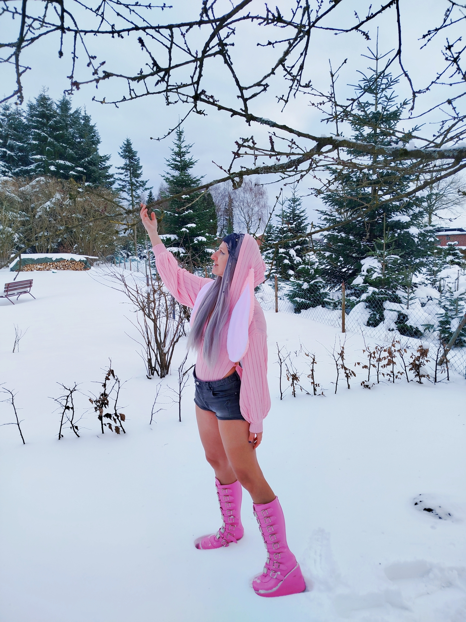 Snow 2026 — photo 7