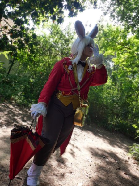 Calamity_garnet - Lapin blanc d'Alice