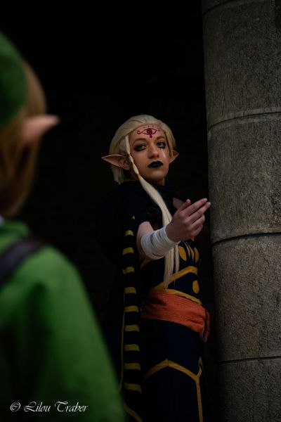 Litchi - Shoot Skyward Sword