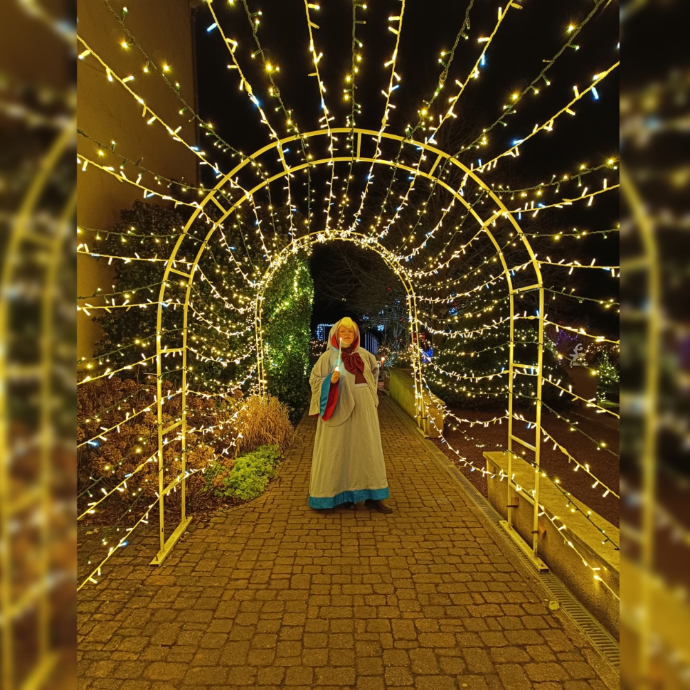 Bonne fée de Noël — photo 5
