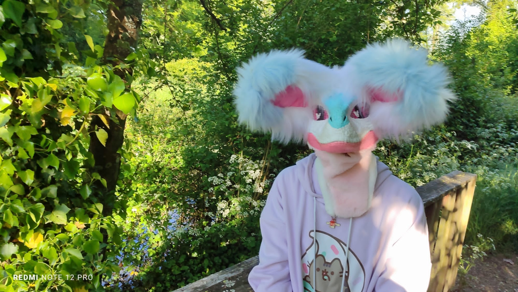 Debut du printemps — photo 43