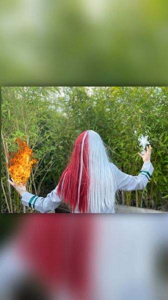 V - Shoto Todoroki