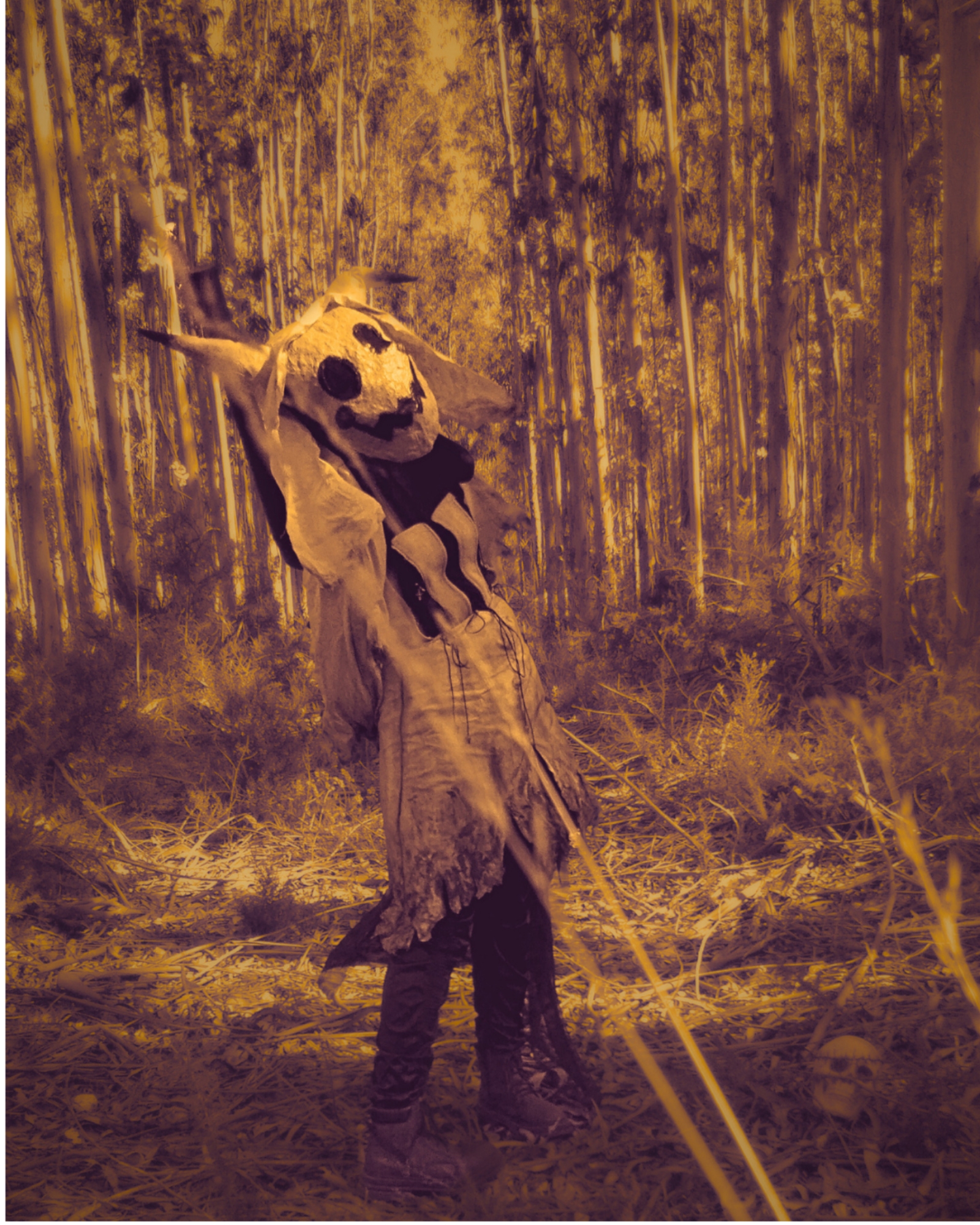 Mimikyu — photo 10