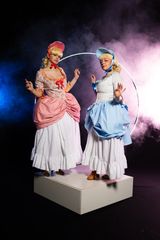 Les oies des aristoc preview 3