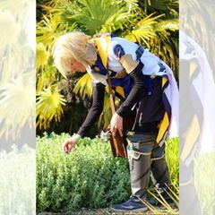 Albedo preview 2