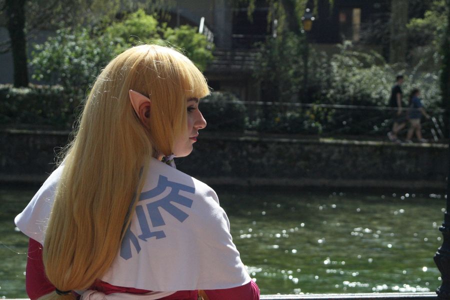 Flazelcos_ - Zelda Skyward Sword 